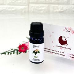 Tinh dầu thiên nhiên Befine Cinnamon Essential - Quế khử mùi tốt, giảm sưng viêm